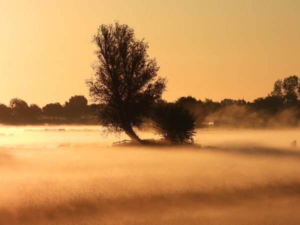 polderlakerveld1ekailexmond15052020 1